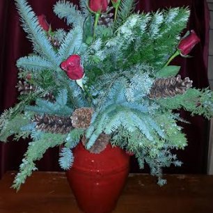 Christmas Arrg Pine and Red Roses